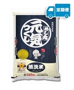 【定期便】【無洗米】「金のめし丸」県産米 めし丸 元気つくし ５kg（令和５年産　福岡県産米）