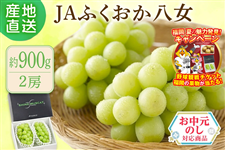 �y�������z���V���C���}�X�J�b�g ��900g�i���ϔ��j��JA�ӂ����������@��7�����{�`8����{�o�ח\��