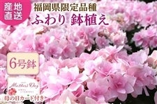 ���y��̓��z�����150�Z�b�g�� ���������������琬�V�i��w�ӂ��x���A���@��5��7����Ĕ����\��