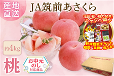 �y�������z�{�̓� ��4�s�@��JA�}�O��������@��7����{�`���{�����o�ח\��