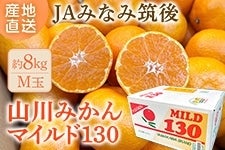 お歳暮】◎JAみなみ筑後《山川みかん》マイルド130 M 約8