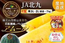 �y�������z�ᏼ�����v���~�A�� �A���[�����G3L�`2L(��8�s�`7�s�j1�ʁ�(��ʉ��F������)�@��JA�k��@��7�����{�`8����{�������\��
