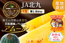 �y�������z�ᏼ�����v���~�A�� �A���[�����GL �P�ʁi��6�s)��(��ʉ��F������) �@��JA�k��@��7�����{�`8����{�������\��