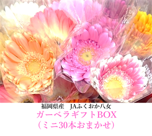yΕzyYzJAӂ@K[xMtganwi~j30{܂j@11/30`oח\