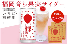 �y���������z �����炿�ʎ��T�C�_�[�i�������܂����j�i40�{���j��2026�N8���ܖ�����