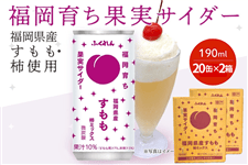 �y���������z�����炿�ʎ��T�C�_�[�i�������Y�������j�i40�{���j��2026�N8���ܖ�����