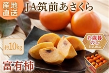 �y���Ε�z�x�L�` ��10�s(L42��/2L36��) ��12����{�`���{�o�ח\��@��JA�}�O�������灥