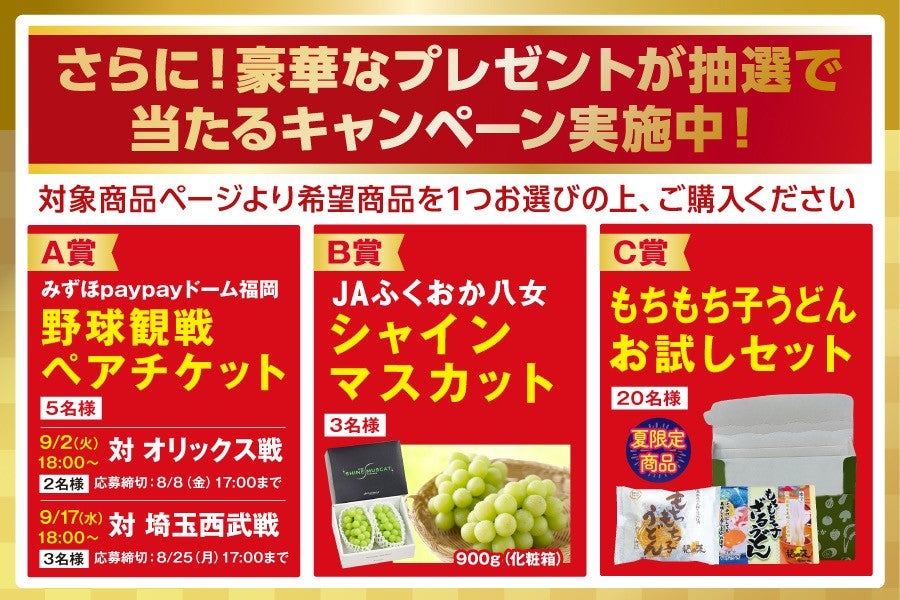 夏のおみくじキャンペーン