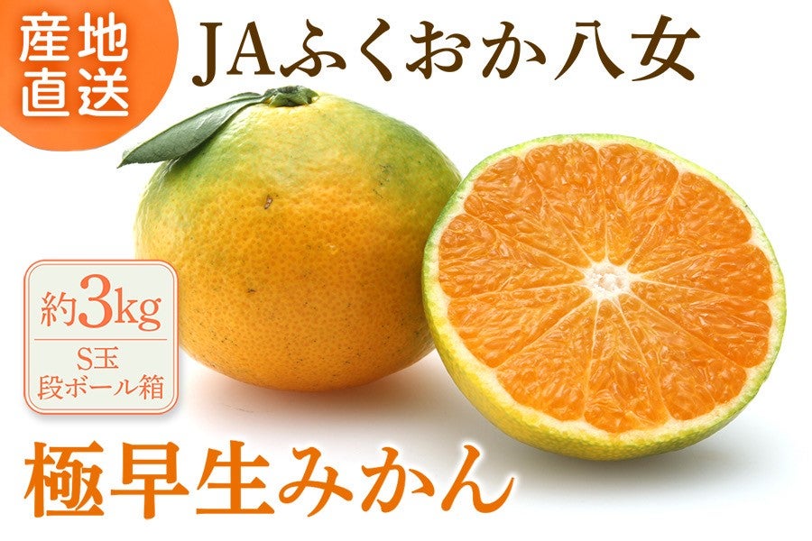 JAӂ ɑ݂ 3kgiS i{[j@X`10{\