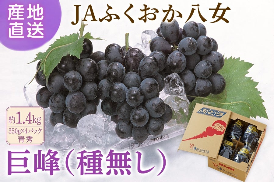 ☆◎JAふくおか八女 巨峰（種なし） 約800g 化粧箱 ※6月中旬以降～7月
