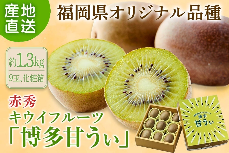 IWii@LECt[cwÂx1.3siXʁAϔj