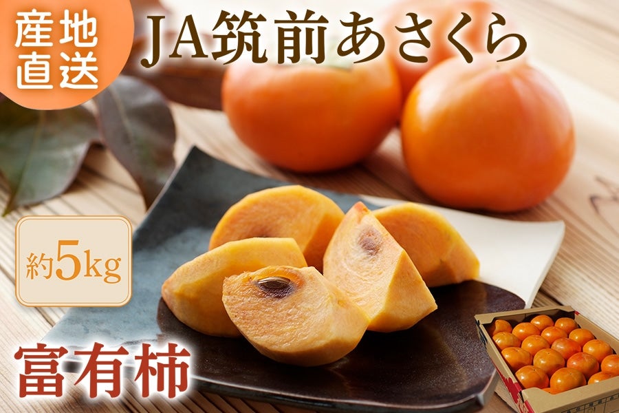 JA}OwxL`x 5s@11{`12{\