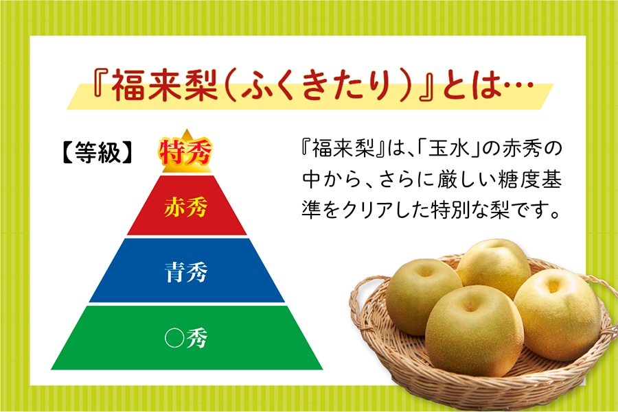 お中元】【特秀】◎福岡県オリジナル品種『福来梨(ふくきたり お中元】【特秀】◎福岡県オリジナル品種『福来梨(ふくきたり