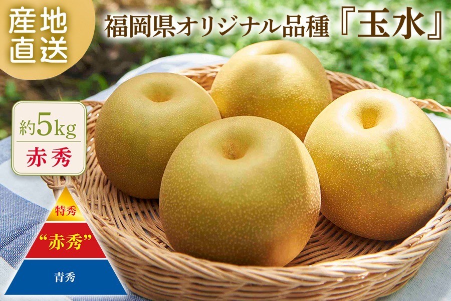 お中元】【赤秀】【新品種】◎福岡県オリジナル品種『玉水』梨 約5kg