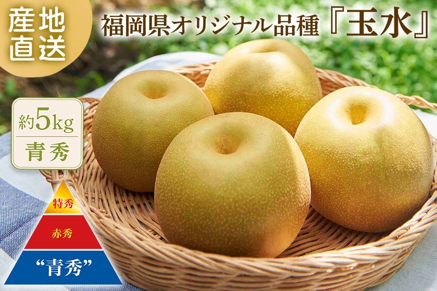 お中元】【赤秀】【新品種】◎福岡県オリジナル品種『玉水』梨 約5kg お中元】【赤秀】【新品種】◎福岡県オリジナル品種『玉水』梨 約5kg