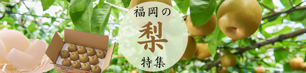 �����̗����W