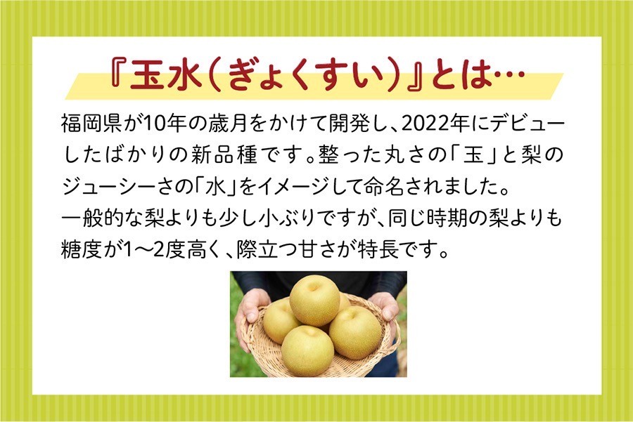お中元】【赤秀】【新品種】◎福岡県オリジナル品種『玉水』梨 約5kg お中元】【赤秀】【新品種】◎福岡県オリジナル品種『玉水』梨 約5kg