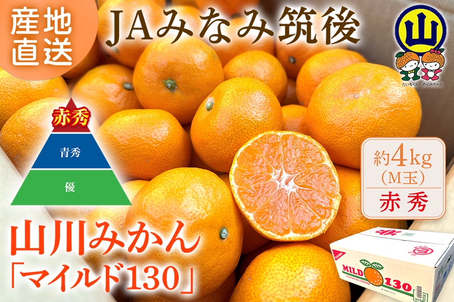 S玉 約4㎏】山川みかん『マイルド130』S玉 約4㎏ ※11月上旬～12月上旬