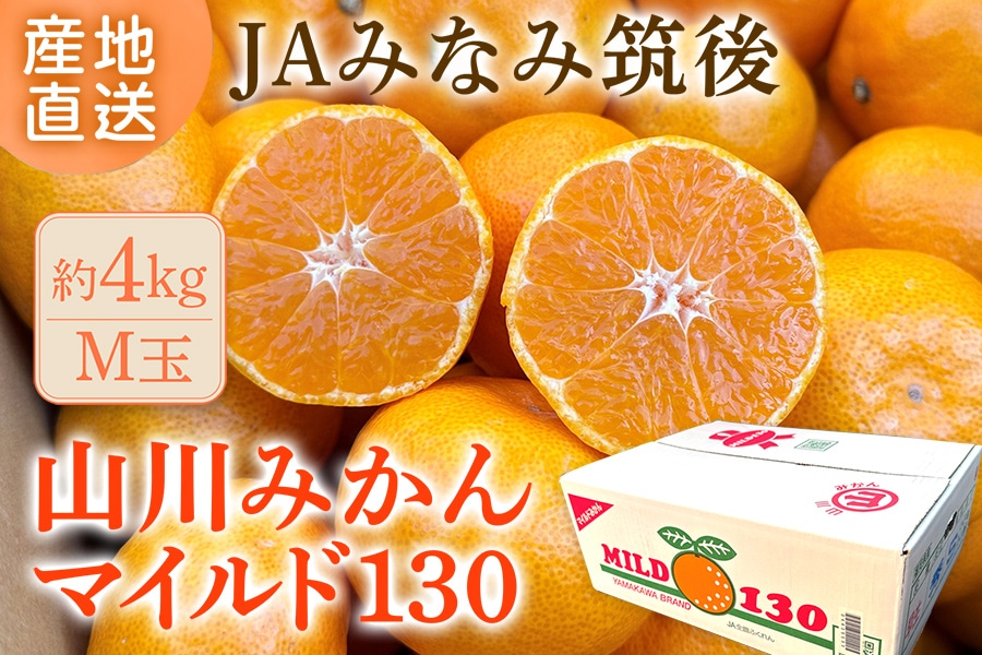 M玉 約8㎏】山川みかん『マイルド130』 ※11月上旬～12月上旬順次出荷