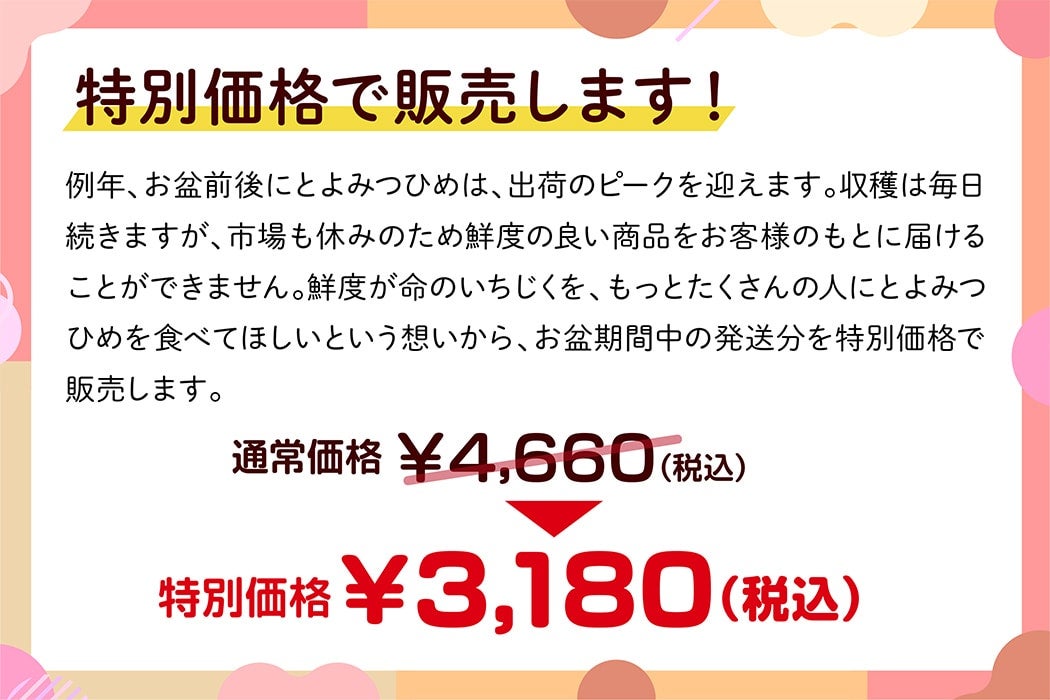 特別価格博多とよみつひめ