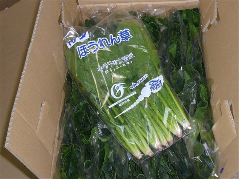 福岡県田主丸町産「ほうれん草」180g×25束 Lサイズ: にじ農業