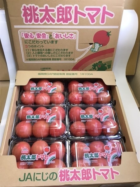 博多桃太郎トマト(500g×6パック) 1ケース: にじ農業協同組合 博多桃太郎トマト(500g×6パック) 1ケース: にじ農業協同組合
