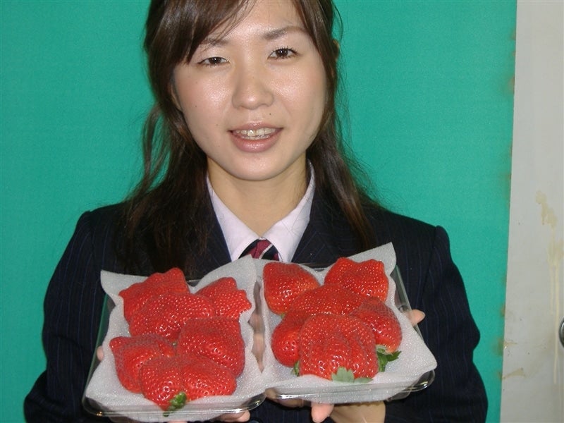 あまおういちご祭り】 《博多あまおういちご》540g(Gタイプ あまおういちご祭り】 《博多あまおういちご》540g(Gタイプ