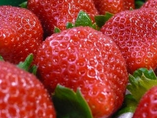 産地直送 通販 お取り寄せ 限定 あまおうイチゴギフト900ｇとあまおうワインセット 1 10 発送 にじ農業協同組合 ｊａタウン