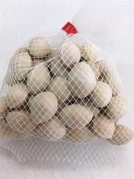 福岡県うきはの銀杏 5kg: にじ農業協同組合|【JAタウン】産地直送