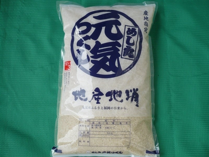 白米　元気つくし　白米20kg　【ふるさと納税】JAにじ　販促応援　ENTEIDRICOCAMPANO