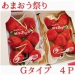 博多あまおういちご Gタイプ 270g×4パック【あまおう祭り】-2月