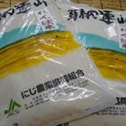  令和5年産 特別栽培米「れんげ米玄米　10ｋ」福岡県にじ農協