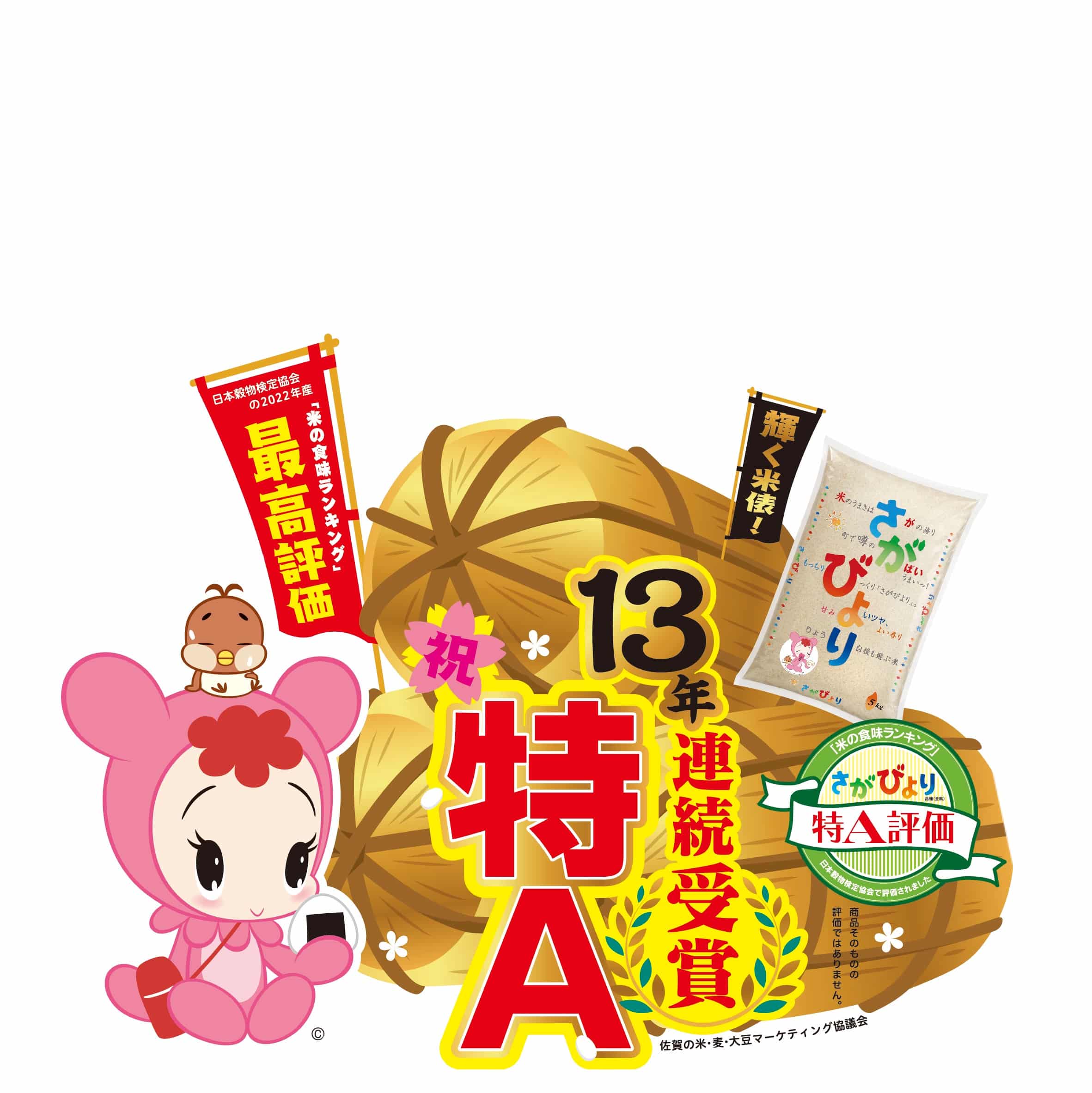 ご家庭用　令和4年産米　さがびより　玄米　約5ｋｇ×2袋