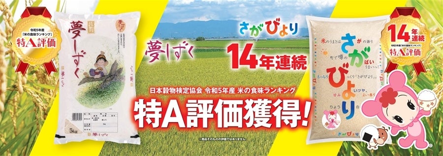 ご家庭用 令和5年産米 無洗米 さがびより 約５ｋｇ×２袋: さが風土館