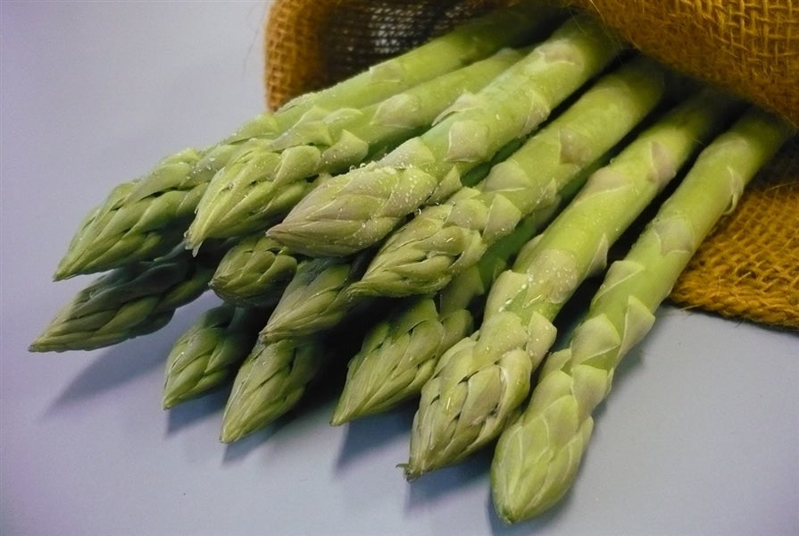 産地直送 通販 お取り寄せ２箱セット 佐賀県産アスパラガス 約１ｋｇ さが風土館 季楽 ｊａタウン