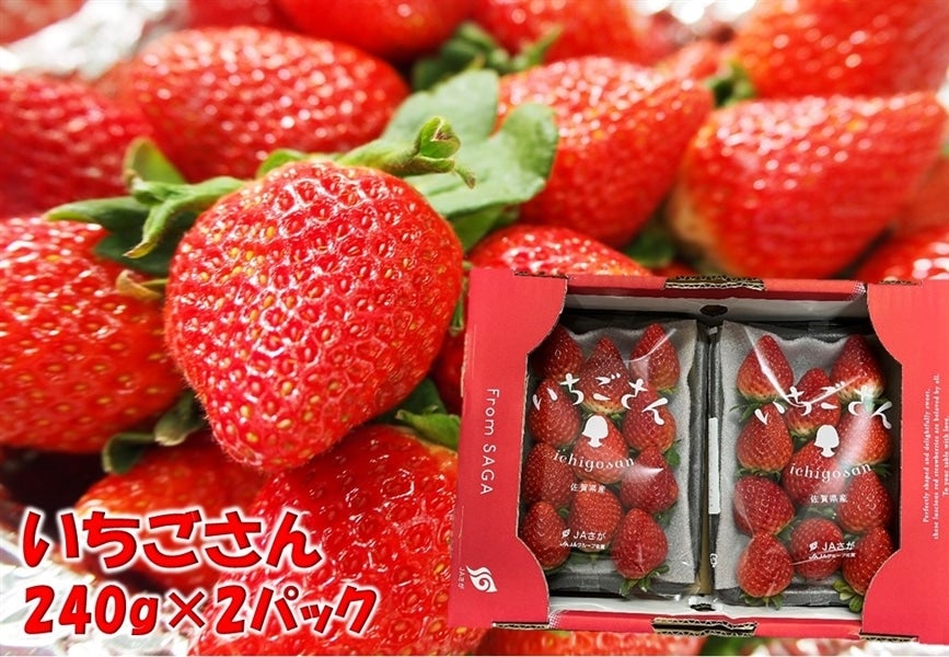 佐賀県産 いちごさん 約240g×2パック 佐賀県産 いちごさん 約240g×2パック