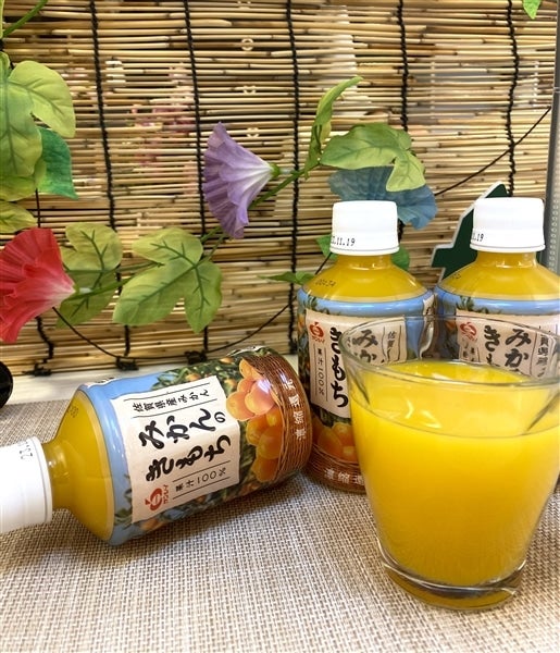 お中元 みかんのきもち 280ml×24本: さが風土館 季楽|【JA