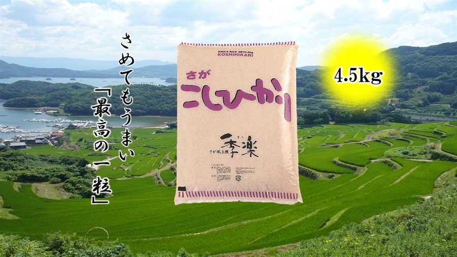 令和8年産米 上場産こしひかり 約4.5kg: さが風土館 季楽|【JA