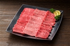 佐賀牛焼肉セットA 約600g: さが風土館 季楽|【JAタウン】産地直送