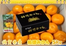 お歳暮 佐賀県鹿島産 祐徳みかん 約3kg