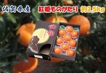 Ε@ꌧY@gP̂@2.5