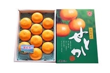 ���ꌧ�Y���Ƃ��@��R����