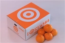 �y���ʌ���z�u�D�i�v���ꌧ�Y�@�ɂ��イ�܂�@��5����