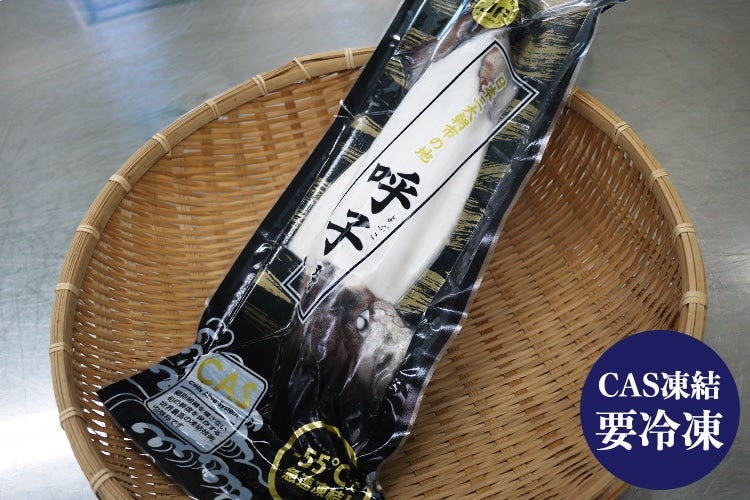 CAS凍結 呼子松いか姿造り Sサイズ