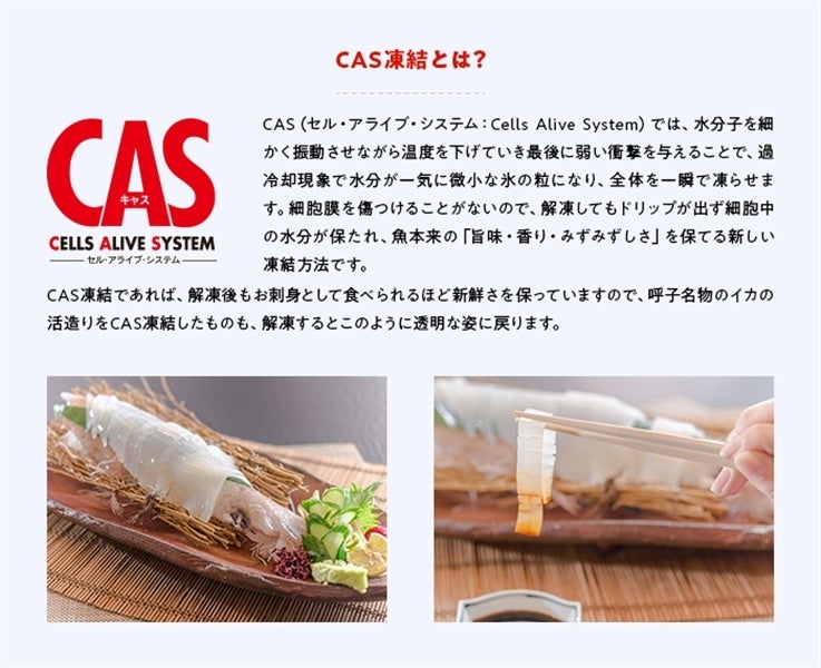 CAS凍結 呼子松いか姿造り Sサイズ