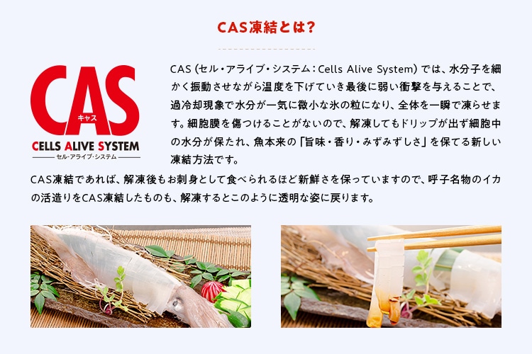 呼子いかチリ