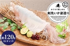y̓zCAS Ďq悢p S1TCY