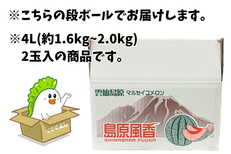 予約販売】≪4L/2玉入≫島原風香 マルセイユメロン（JA島原雲仙）※5月