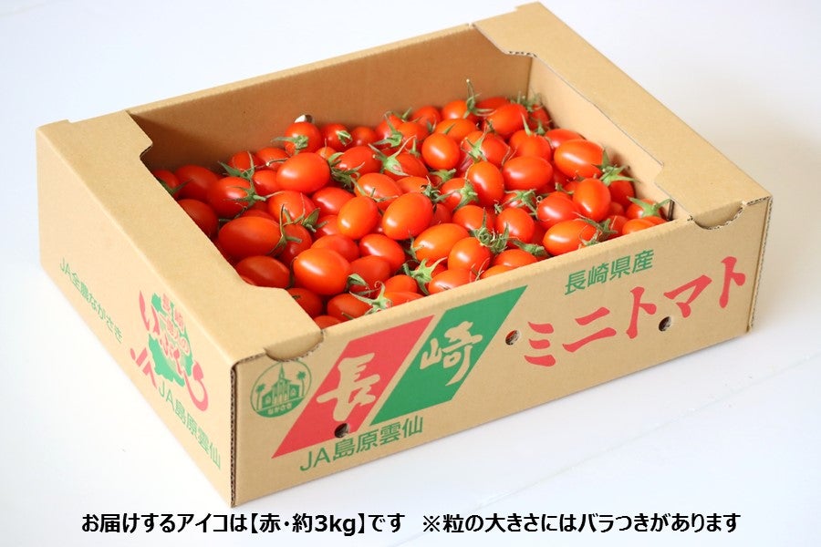 赤☆長崎県産 アイコ 約3kg（JA島原雲仙）: もぐもぐながさき