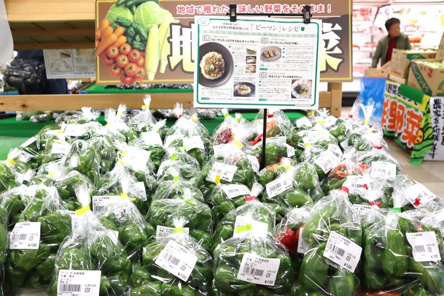 数量限定予約販売】いきいき野菜BOX～JA壱岐市「アグリプラザ四季菜館